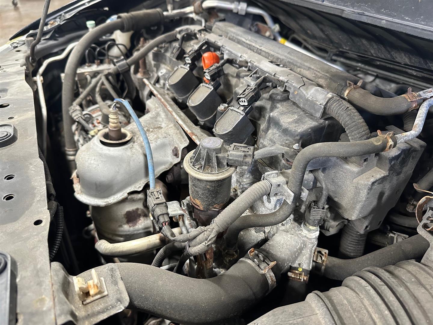 Gasoline Engine Repair | Lou's Car Care Center, Inc.